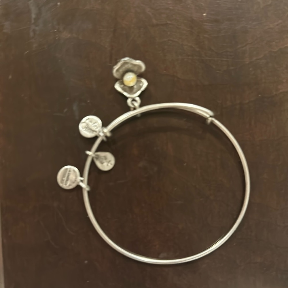 Alex and Ani bracelet